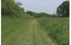 Lake County, Indiana farmland - LAND AUCTION - 147+/- ACRES OFFERED IN 3 TRACTS IN LAKE COUNTY, INDIANA